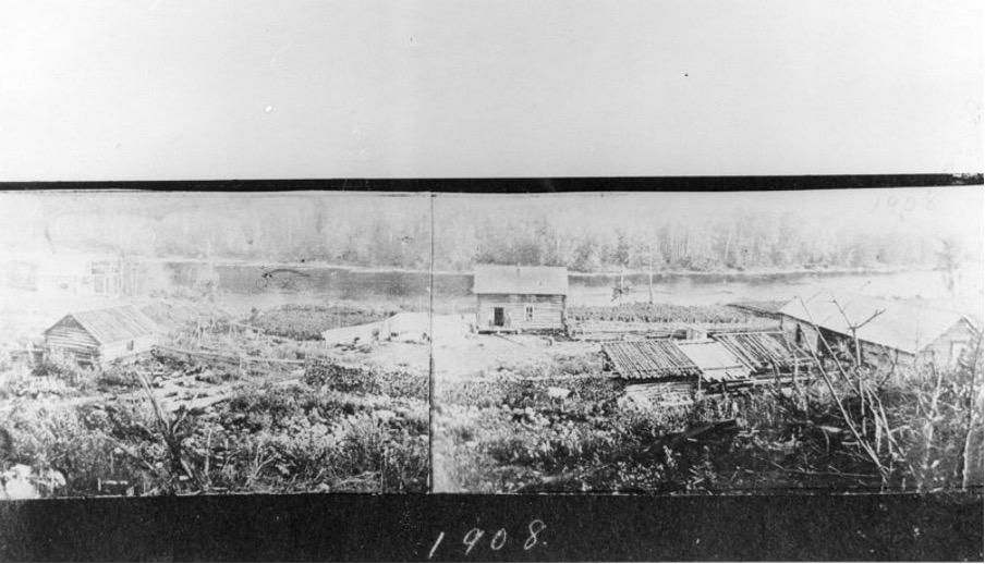 Black and white photograph of a Finnish settlers' homestead. A small wooden structure surrounded by farmed land.